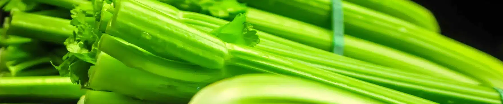Celery