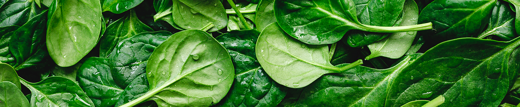 Spinach