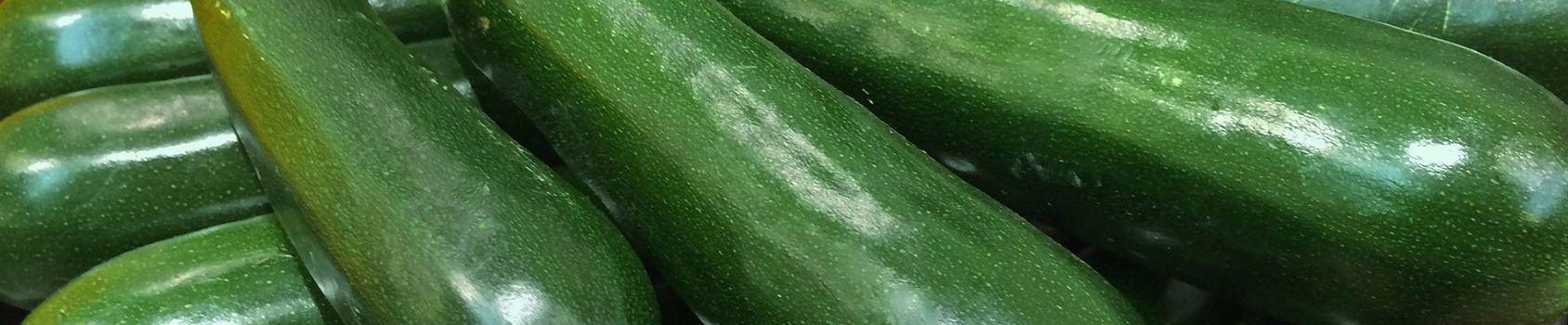 Zucchini