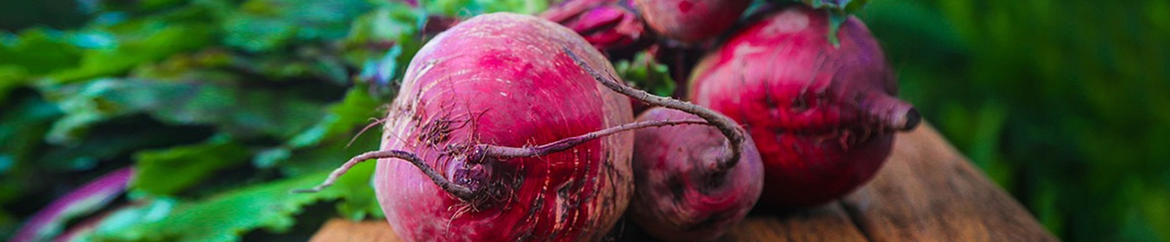 Beetroot