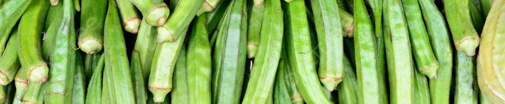 Bhindi