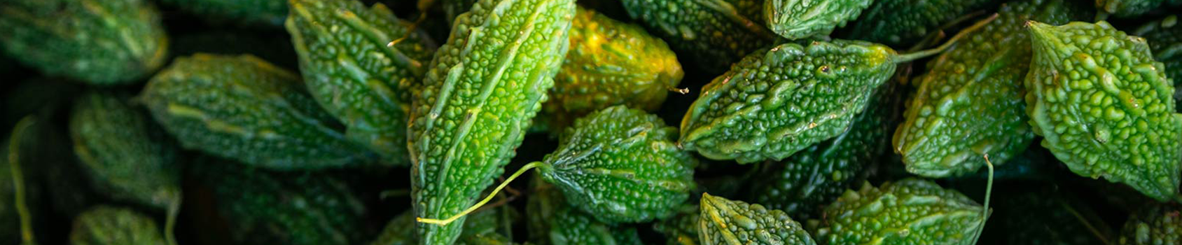 Bittergourd