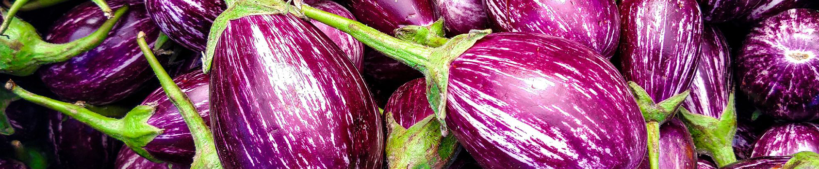 Brinjal