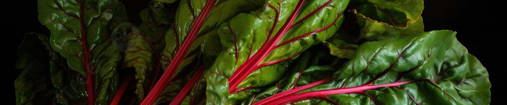 Swiss Chard