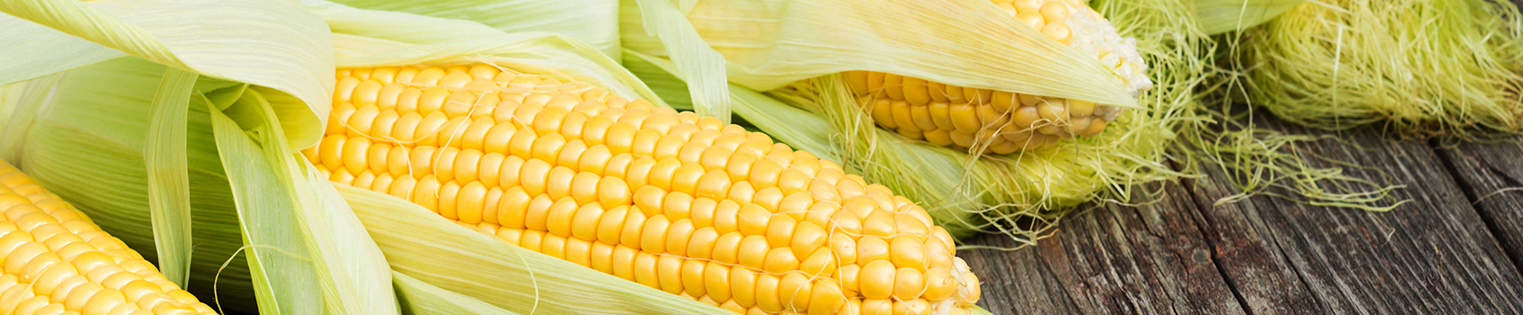 Corn