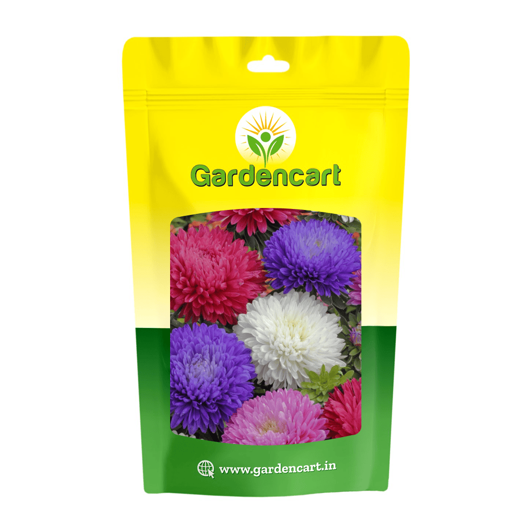 Aster Custom Mix Seeds