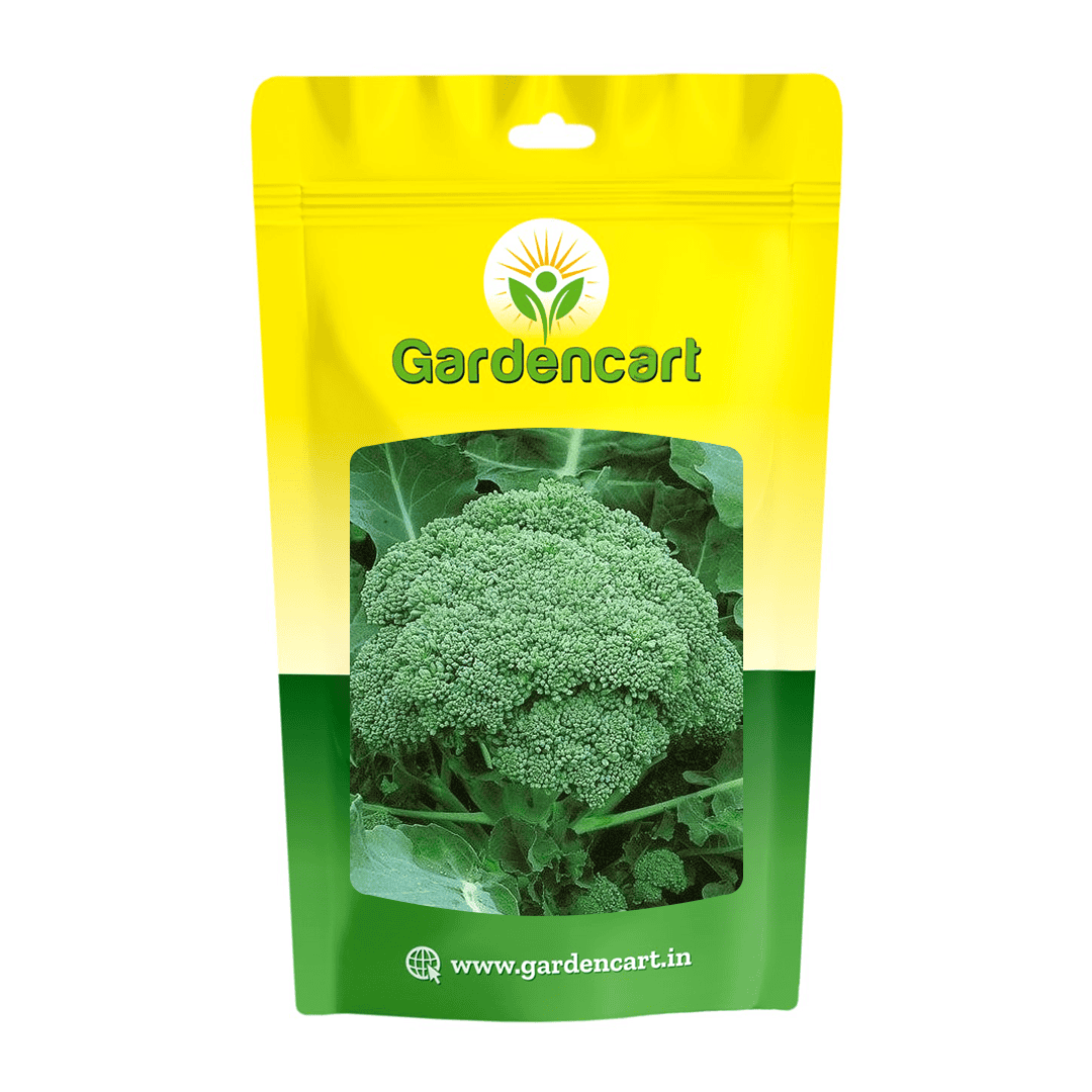 Broccoli Calaberese Seeds