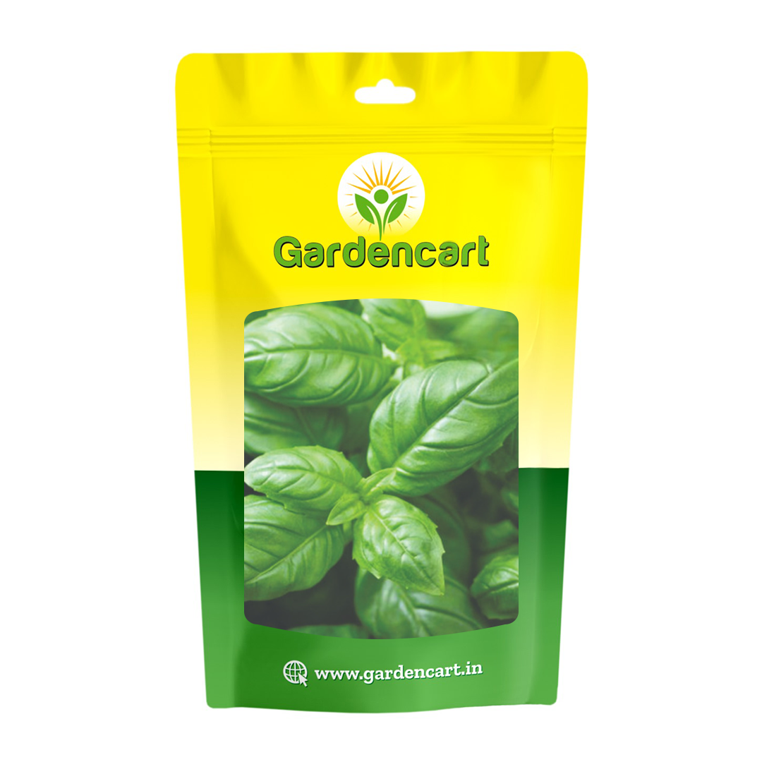 Basil Genovese Seeds