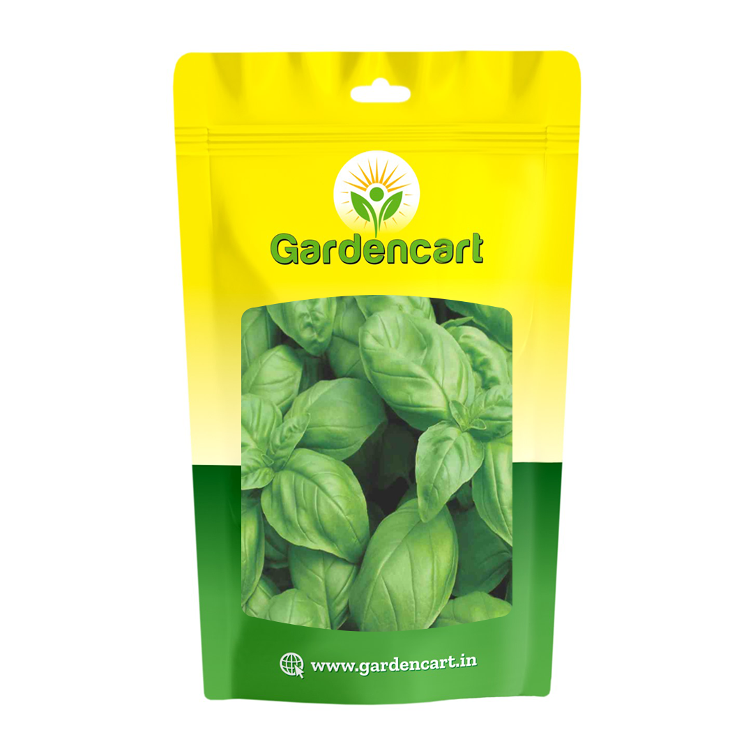 Basil Italian Large Leaf Seeds