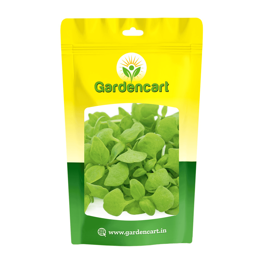 Basil Lemon microgreens