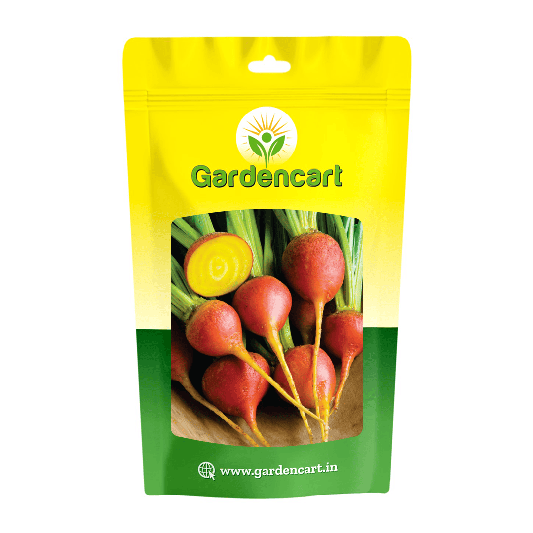 Beetroot Golden seeds