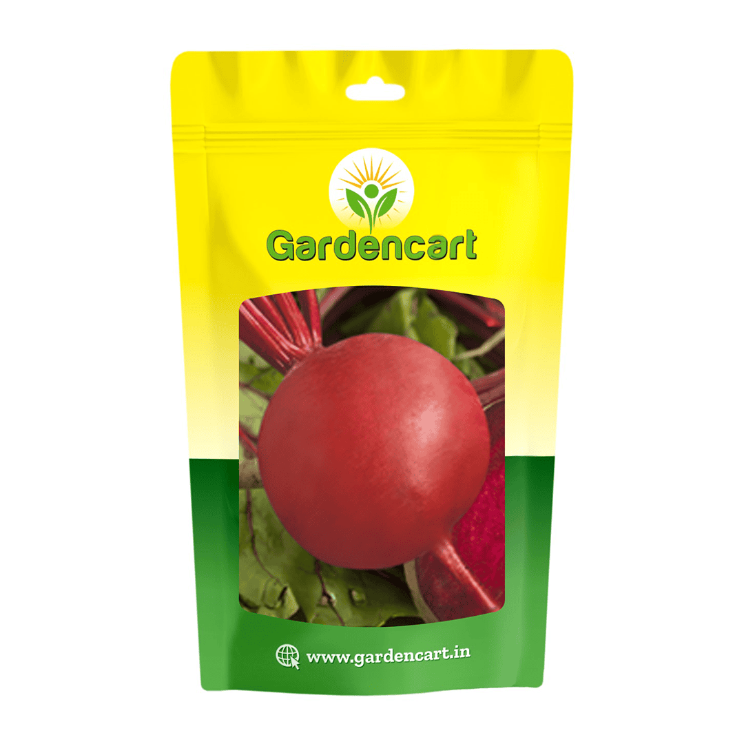 Hybrid Beetroot Red Express-505 Seeds