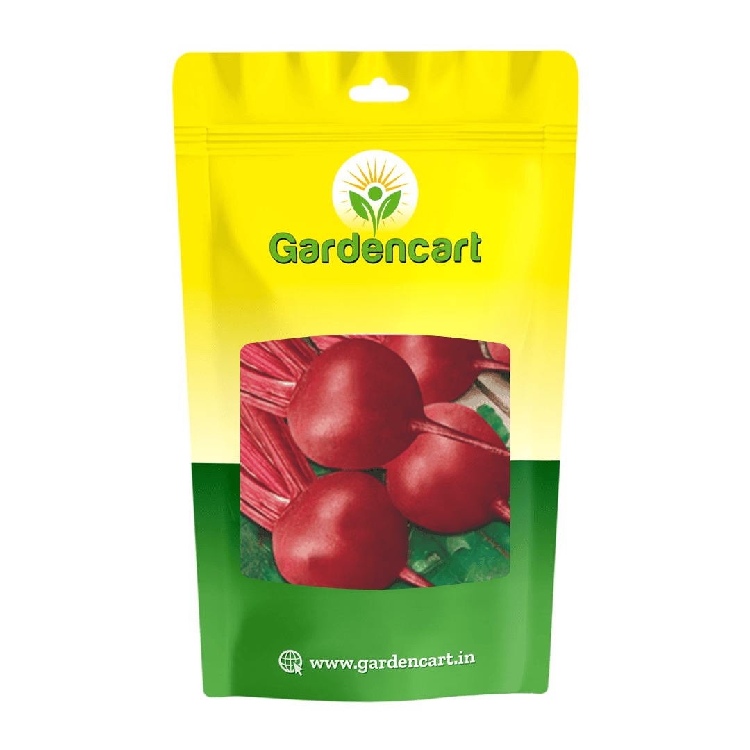 Beetroot Ruby Queen Seeds
