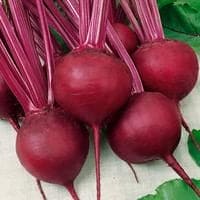 Beetroot Detroit Dark Red Seeds