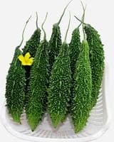 Hybrid Bittergourd Green Gold Seeds