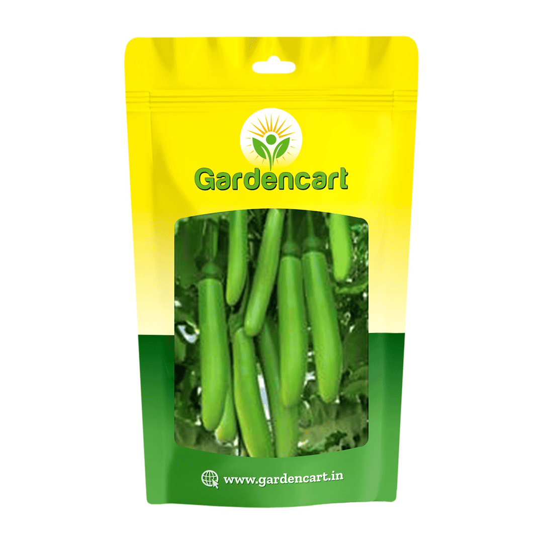 Brinjal Green Long Seeds