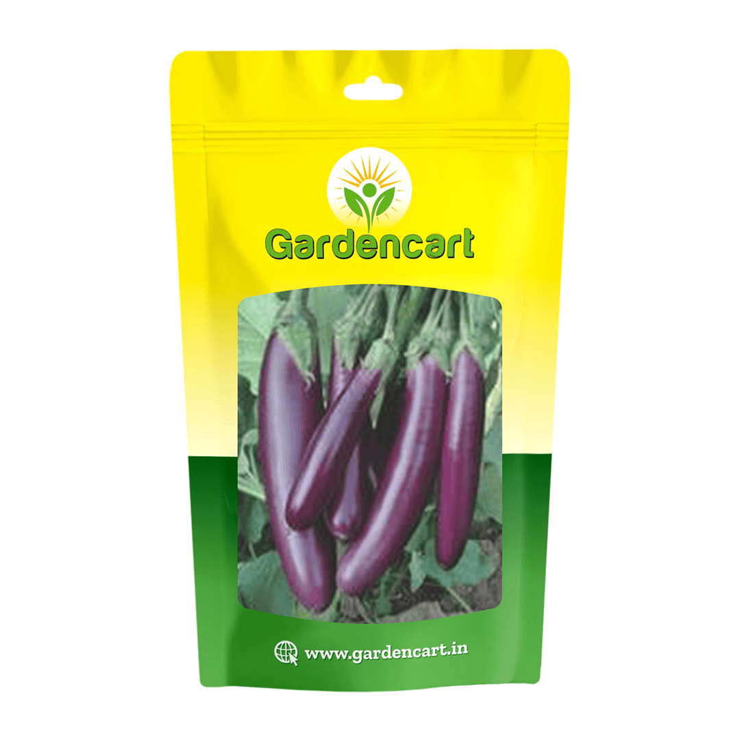 Hybrid Brinjal Long Dev Seeds