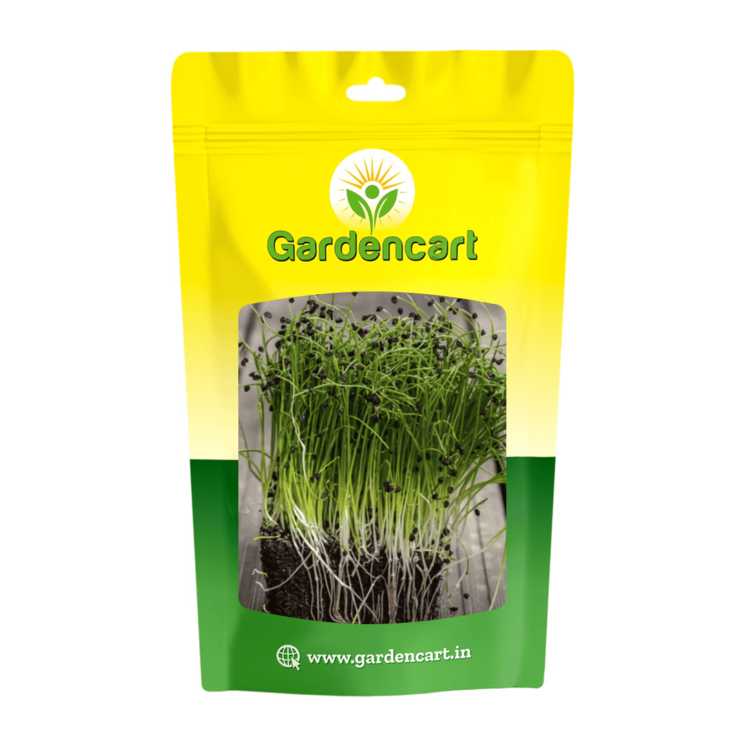 Bunching Onion microgreens