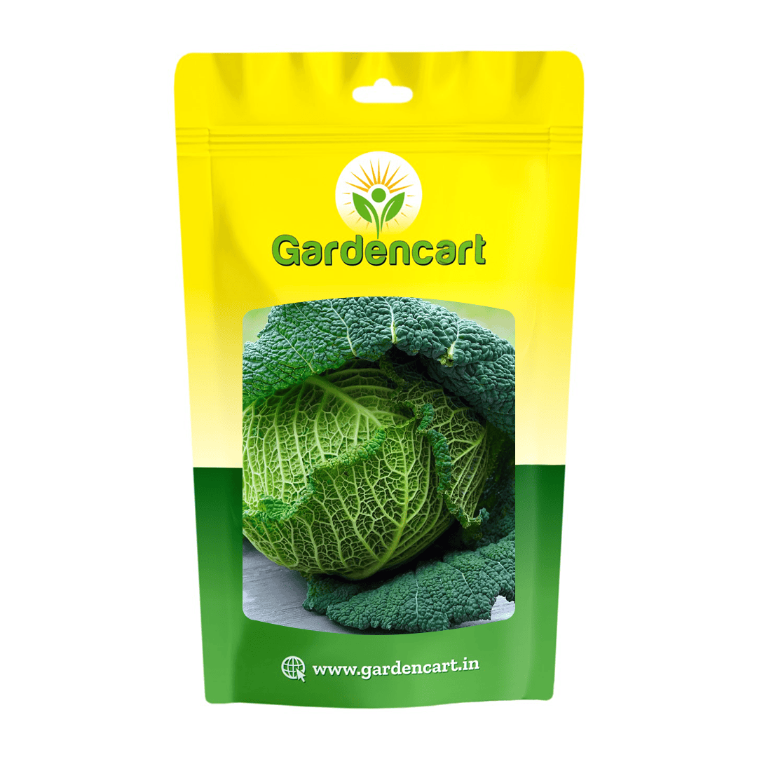 Cabbage Savoy Seeds