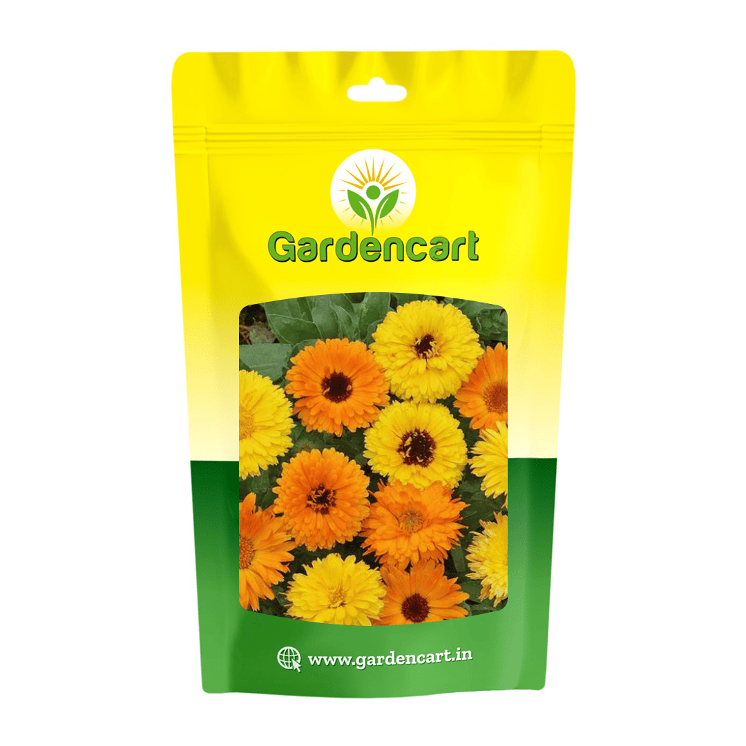 Calendula Princess Mix Seeds