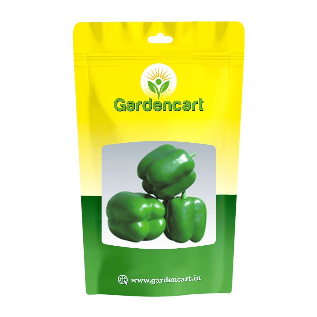 Capsicum California Wonder Seeds