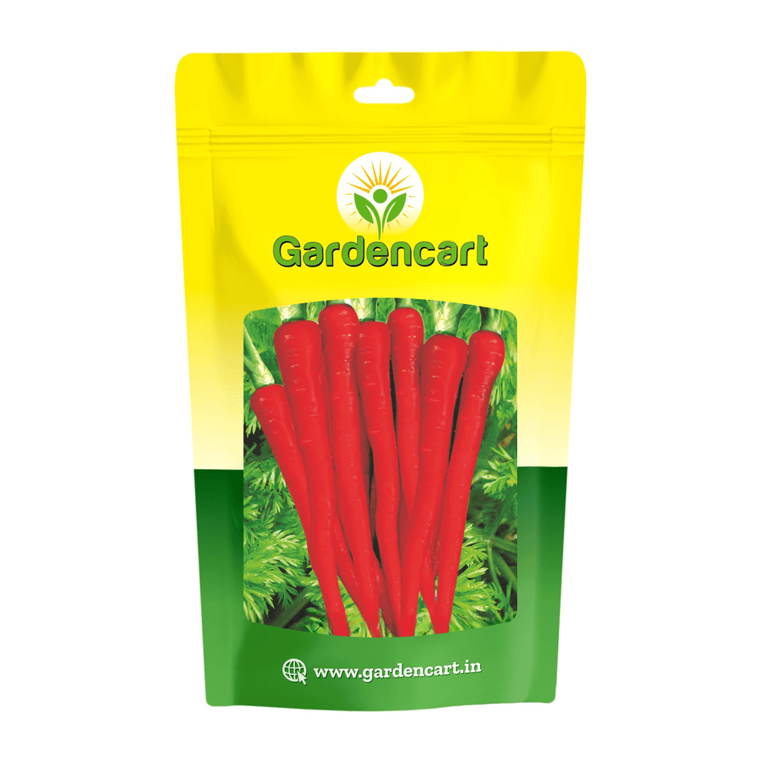 Carrot Deep Red Seeds