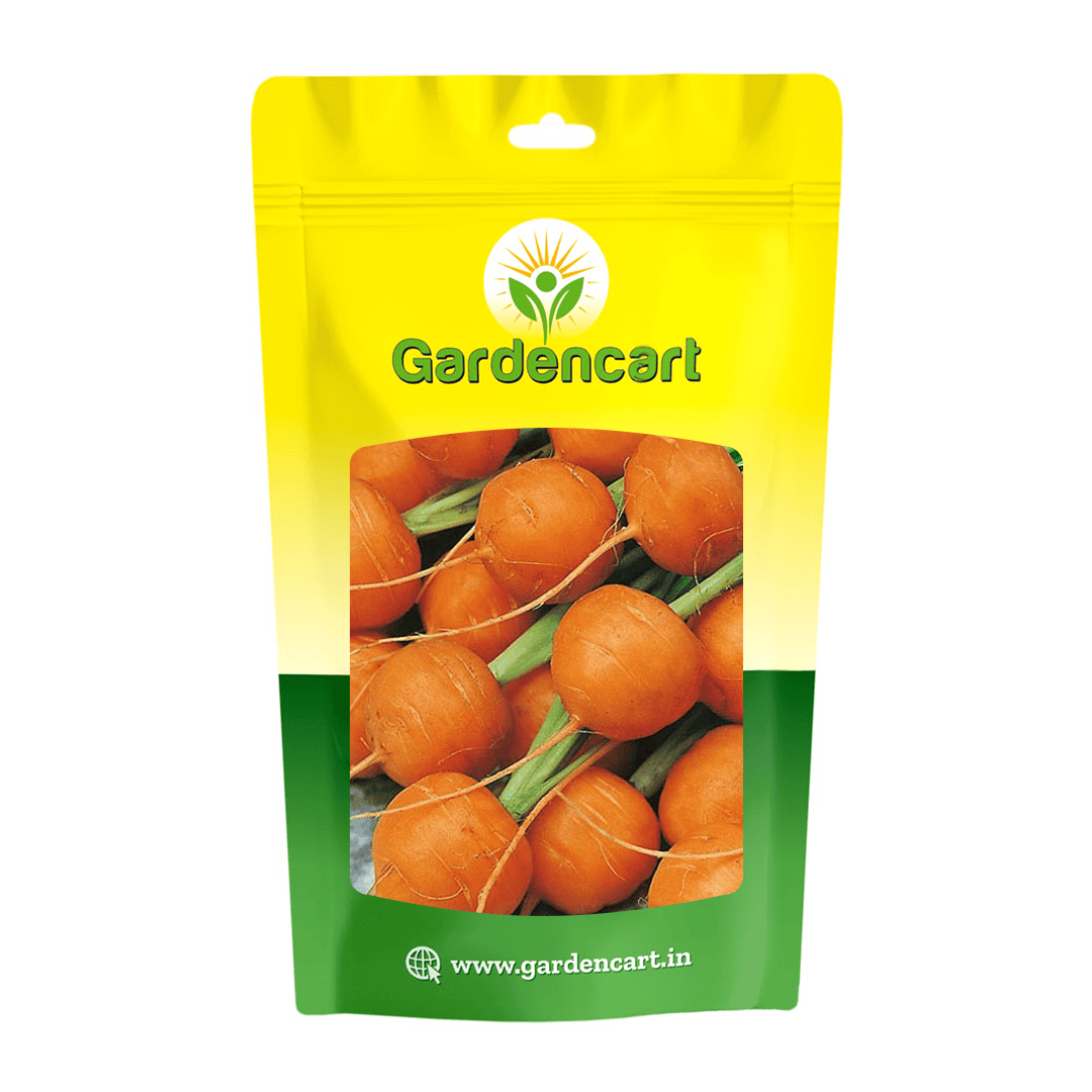 Carrot Orange Round Seeds
