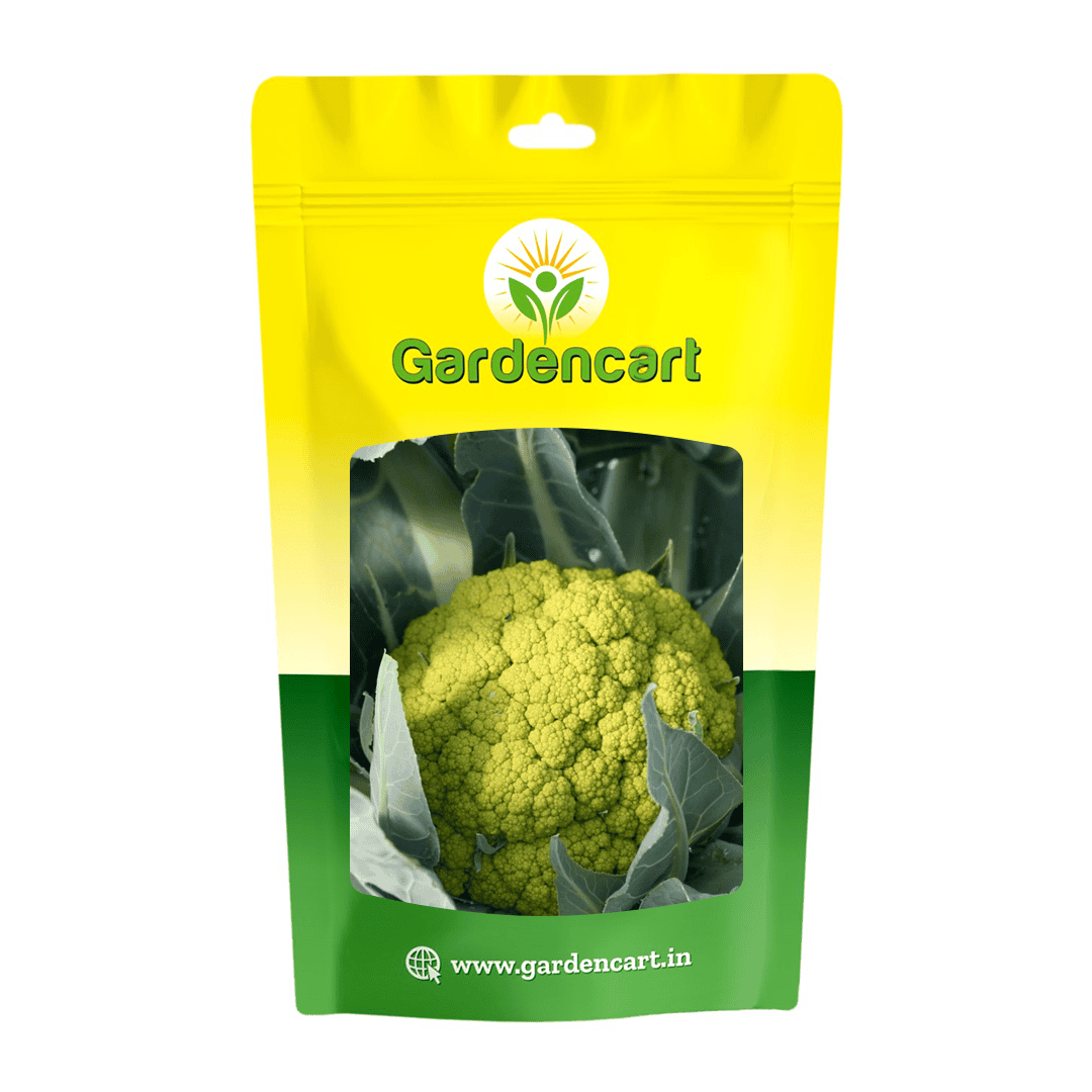 Cauliflower Green Marcerata Seeds