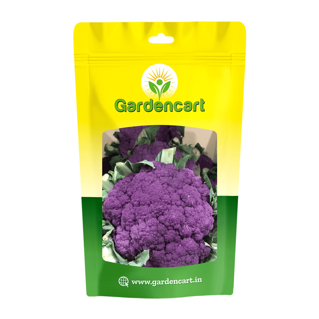 Cauliflower Purple Seeds
