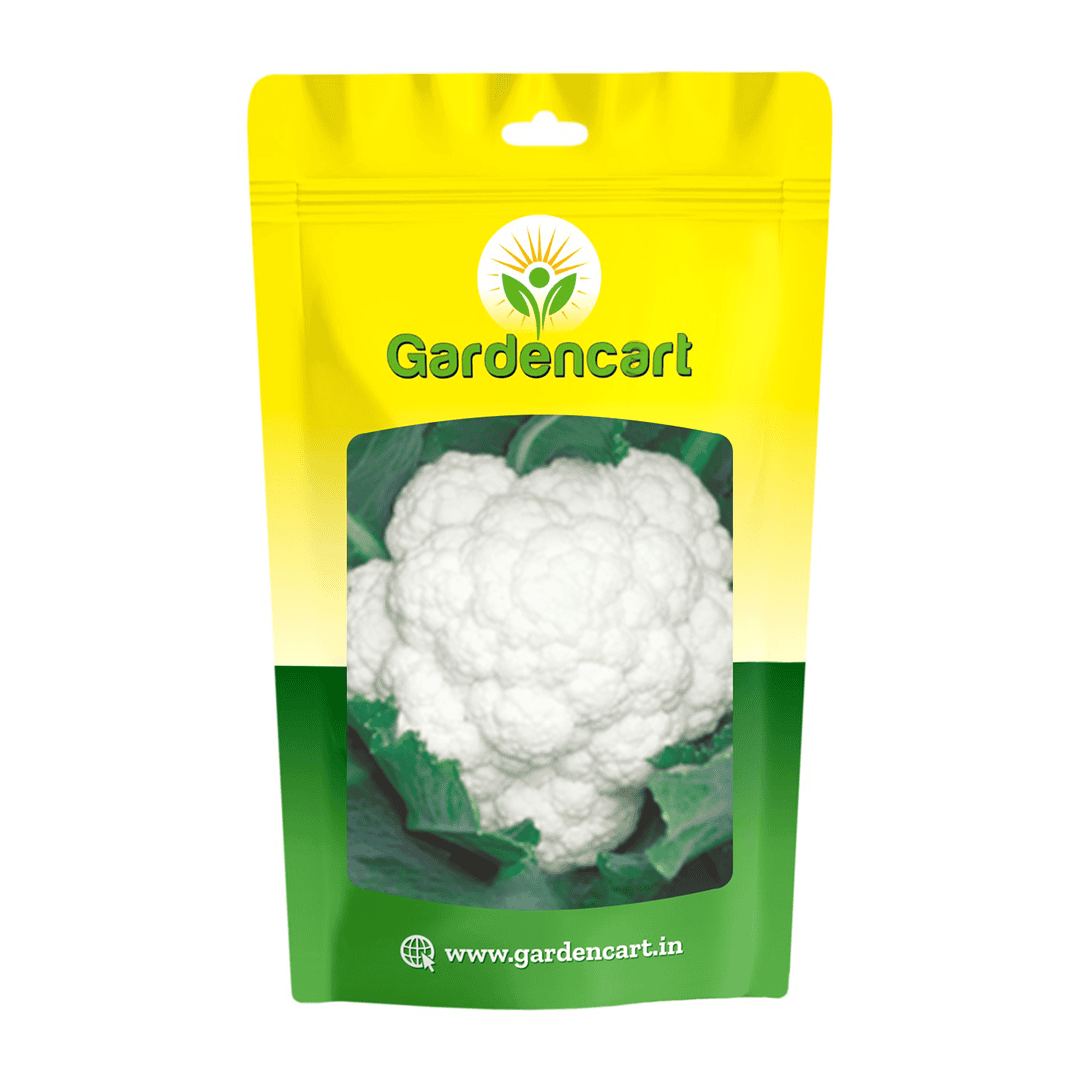 Hybrid Cauliflower for Summer Season (Tropical)