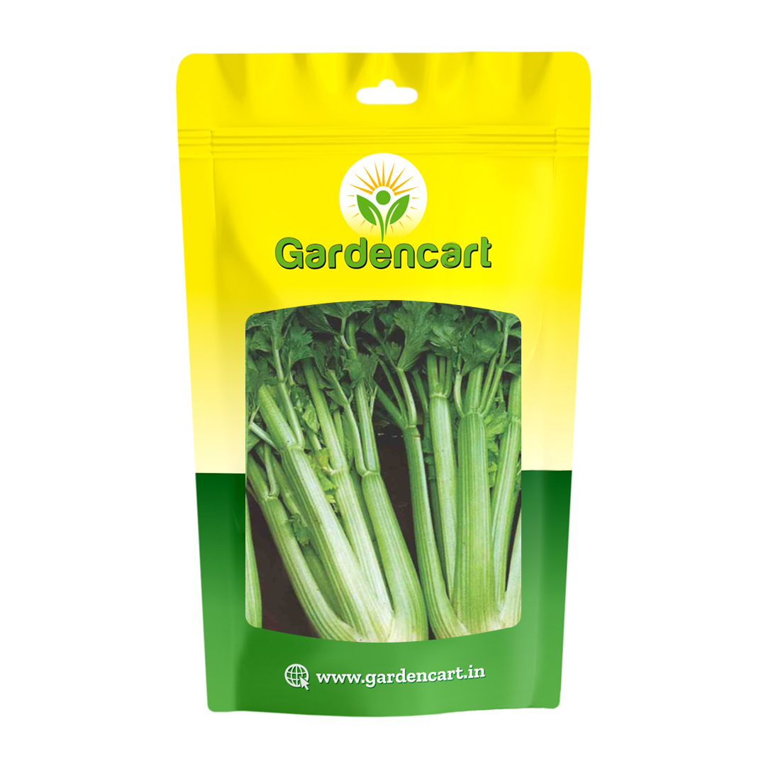 Celery Tall Utah Seeds