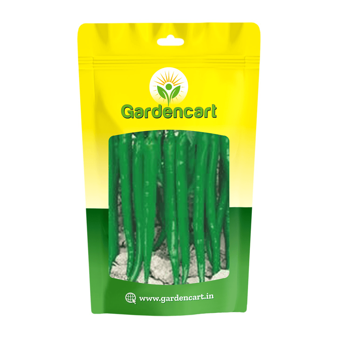 Hybrid Chilly Missile-947 Seeds