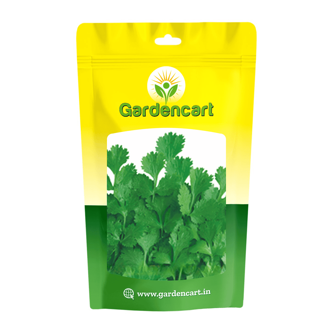 Coriander Desi Cross-91 Seeds