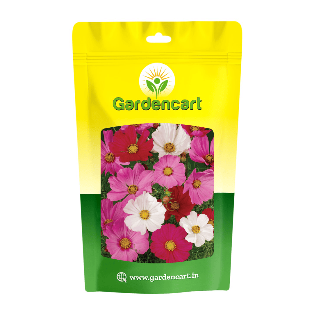 Cosmos Sensation Mix Seeds