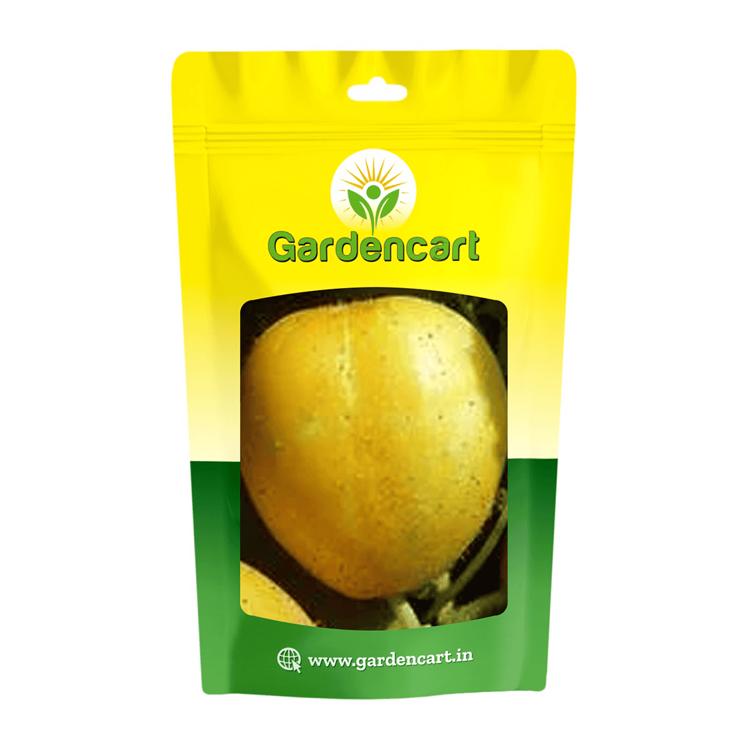 Cucumber Yellow Round Seeds