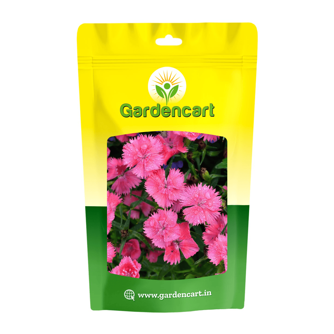 Dianthus (Pink) Mix Seeds