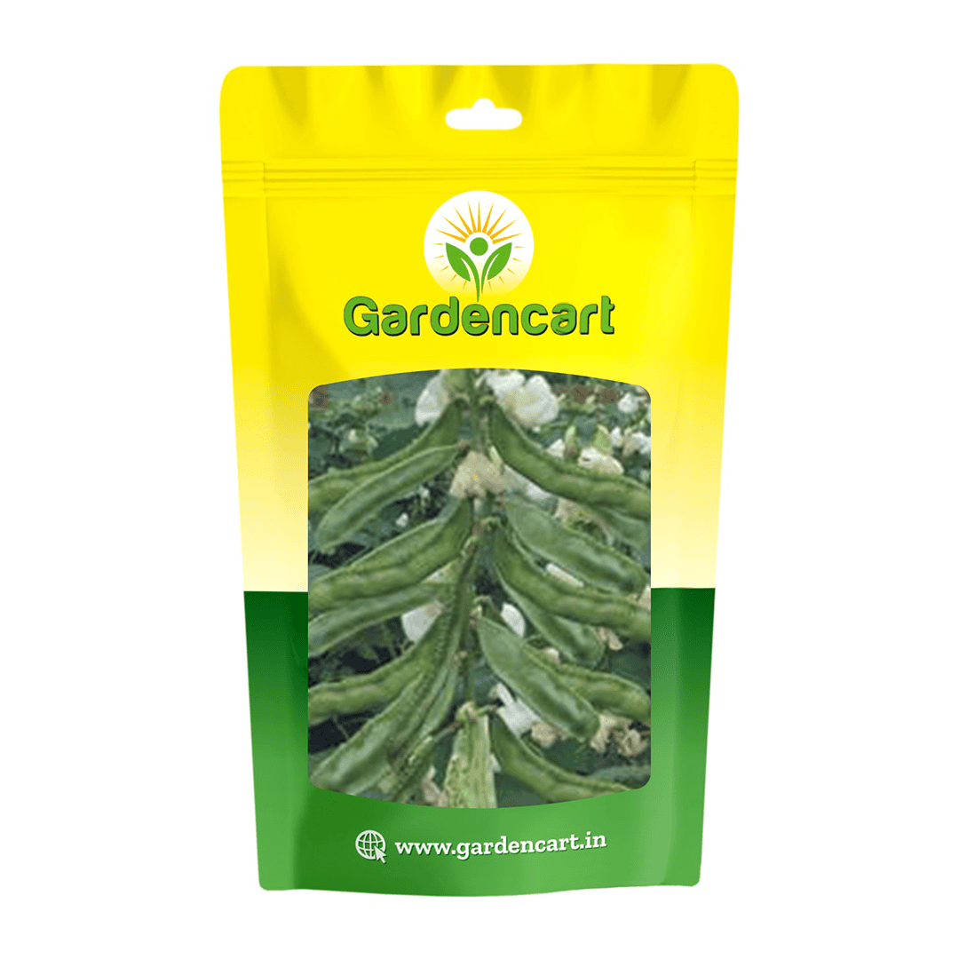 Dolichos Beans Sem Phalli Supreme Seeds