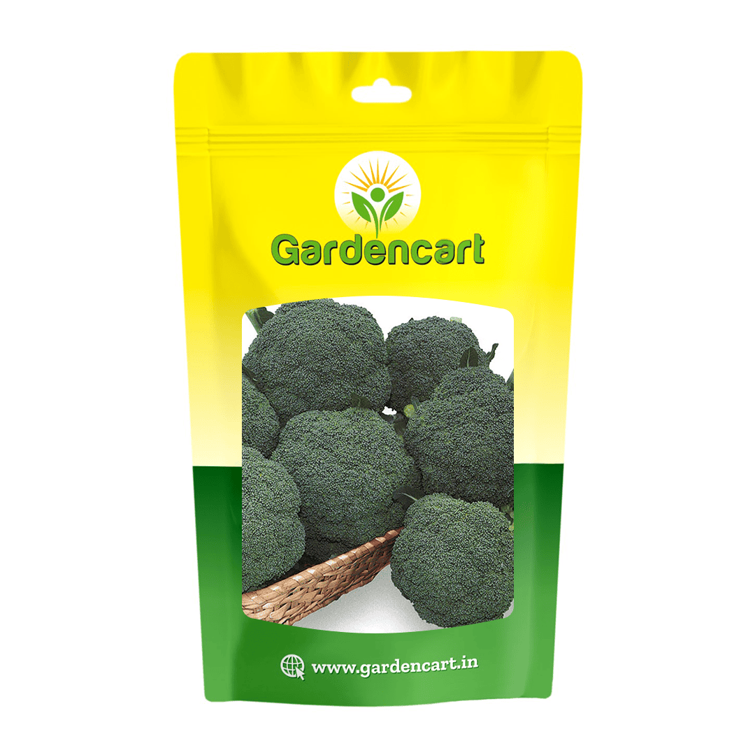F1 Hybrid Broccoli GS-181 Seeds