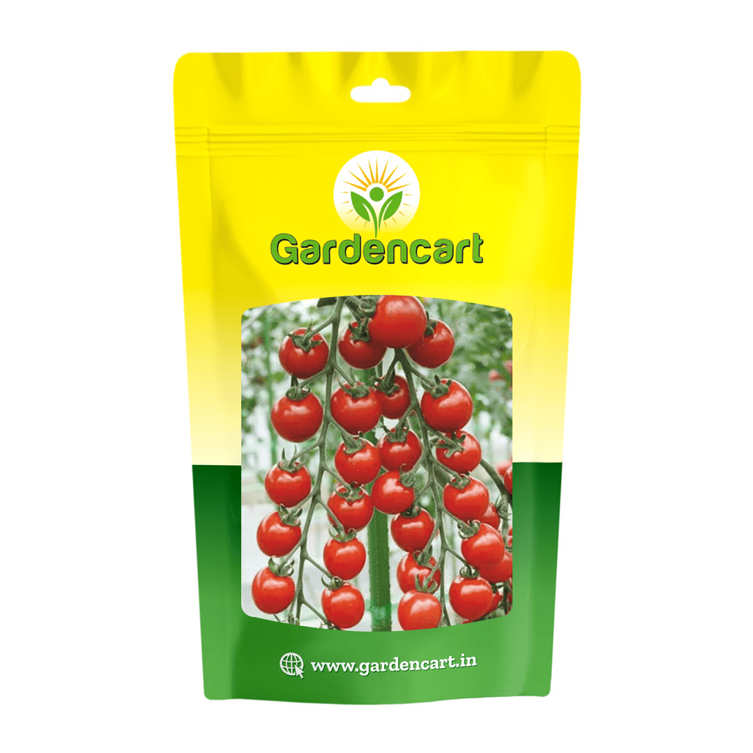 F1 Hybrid Cherry Tomato Red Gold Seeds