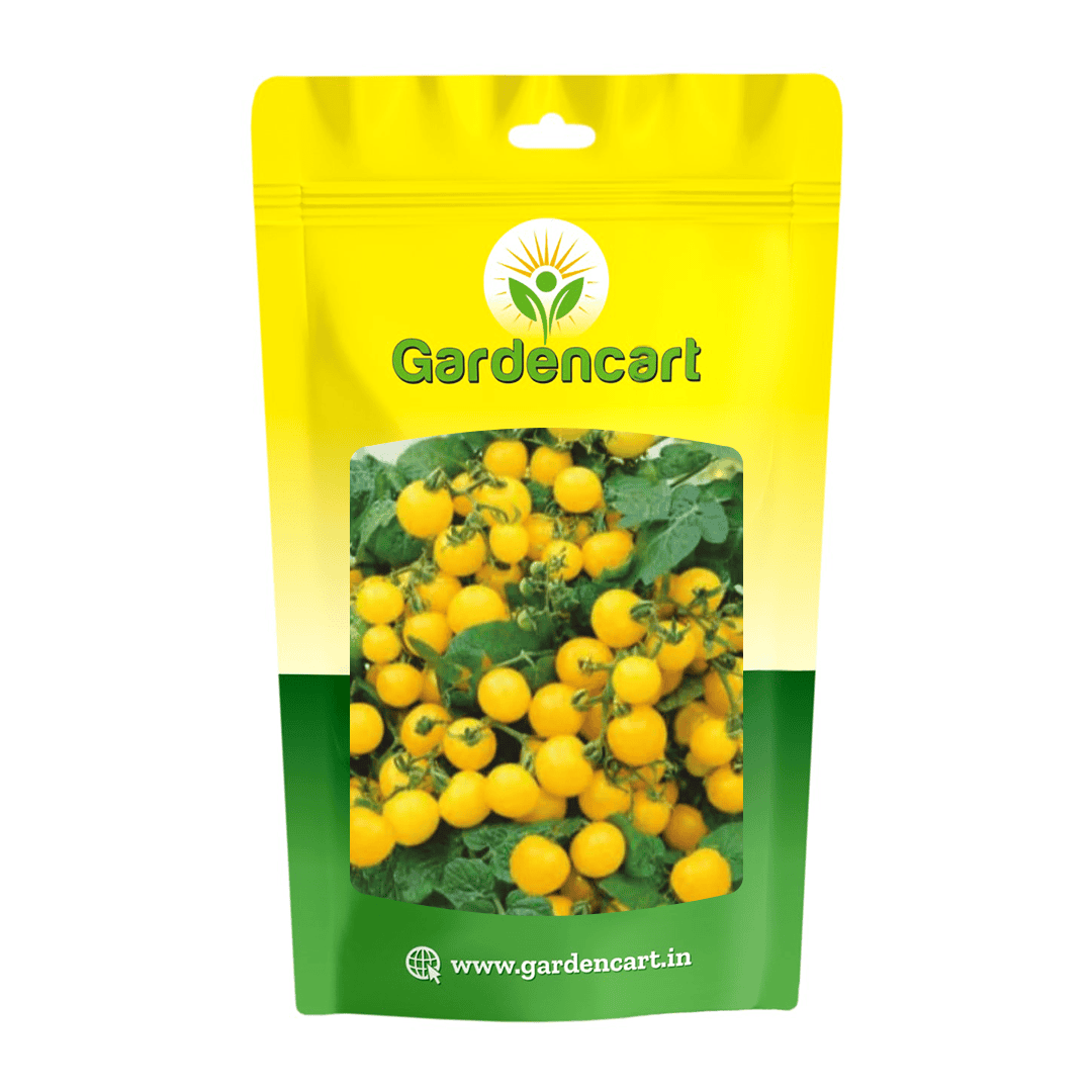 F1 Hybrid Cherry Tomato Yellow Seeds