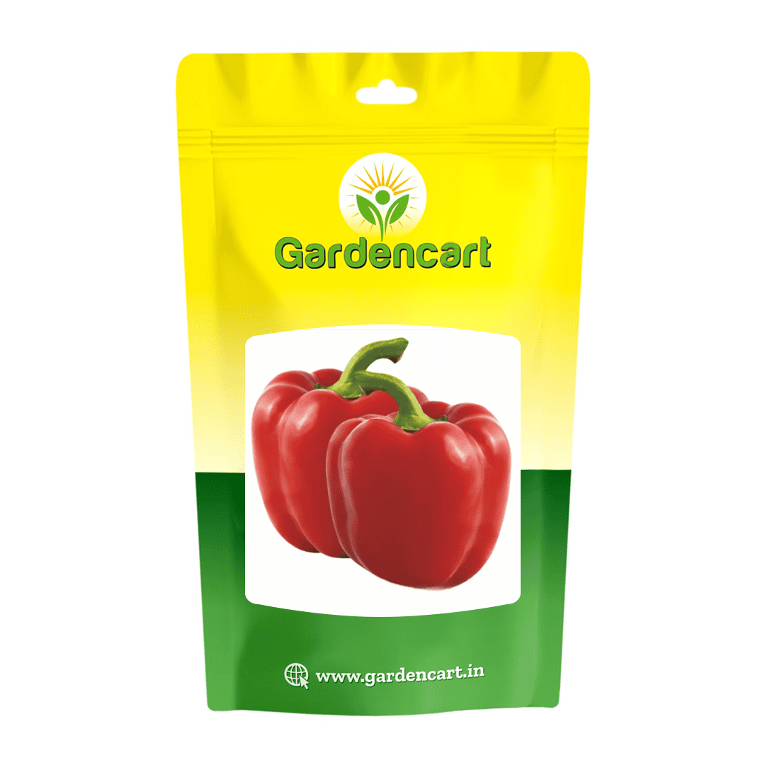 Sweet Pepper Red Ruby Seeds