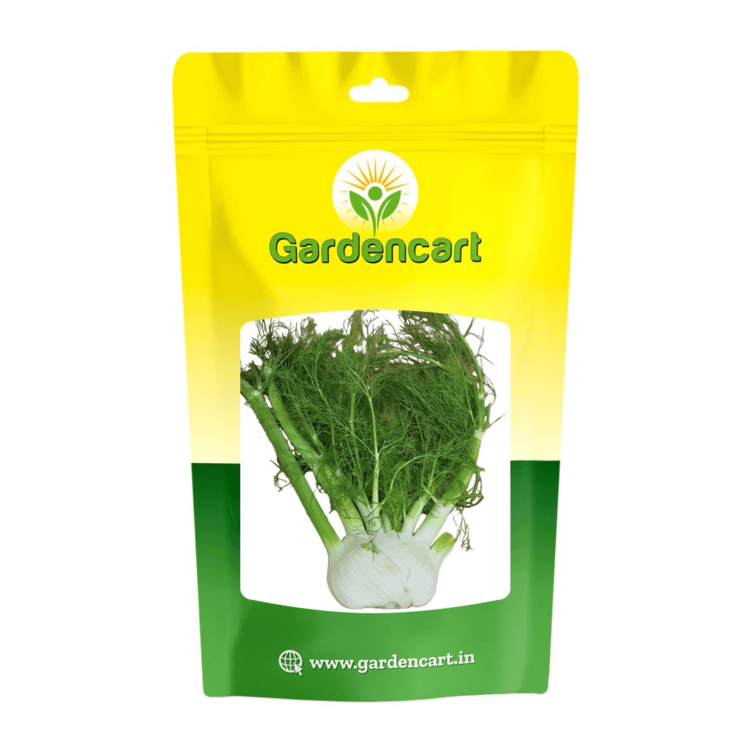 Fennel White Globe Seeds