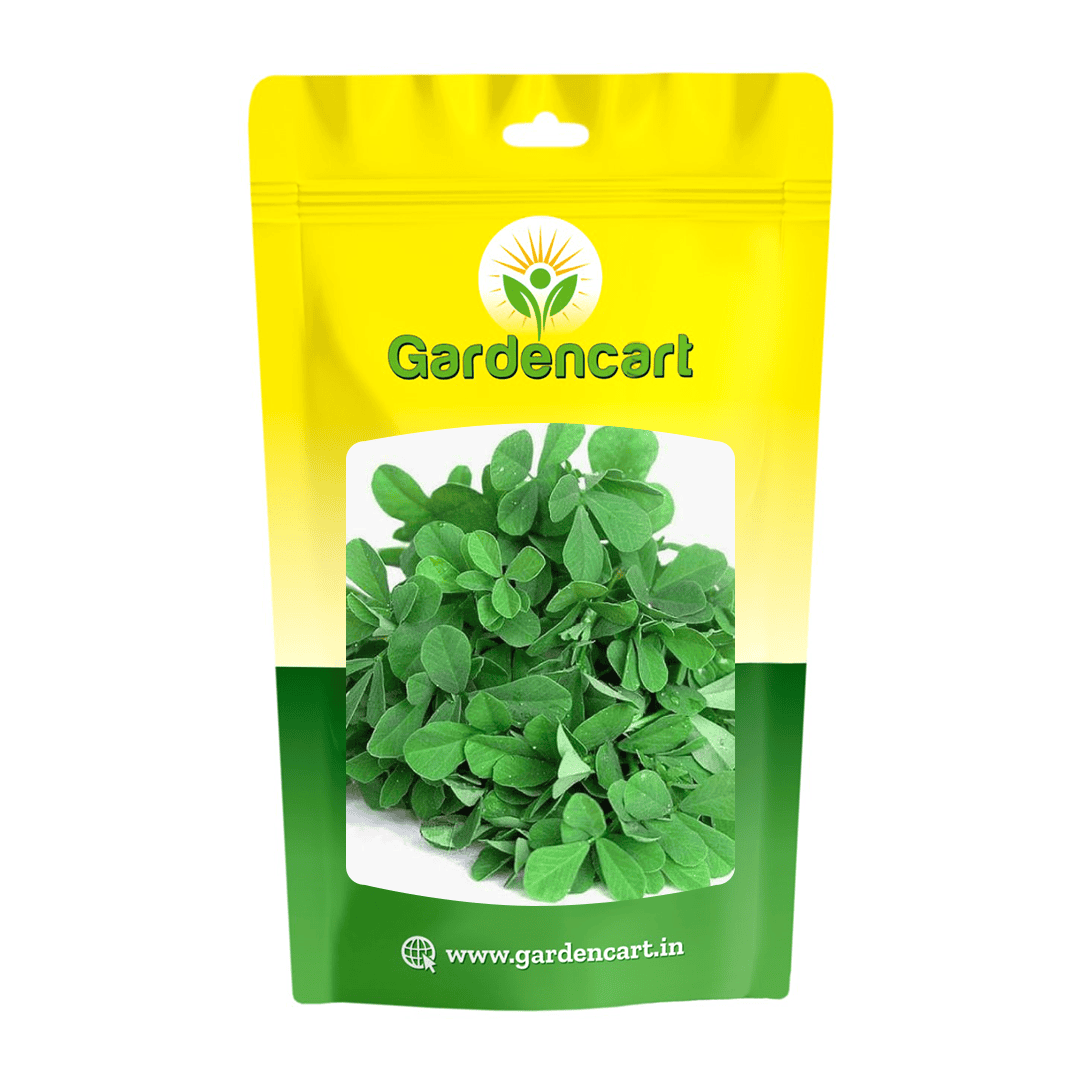 Fenugreek (Methi) Seeds