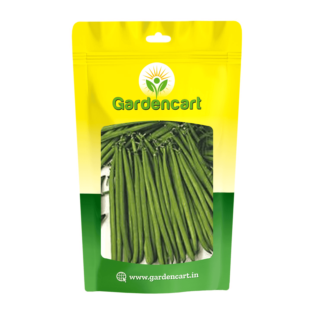 French Beans Anupama Seed