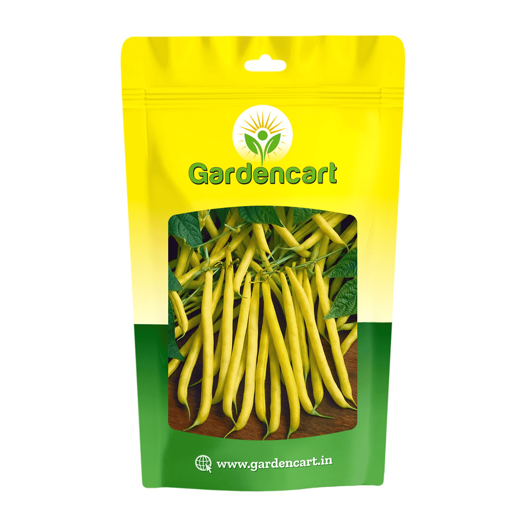 French Beans Yelllow Seeds