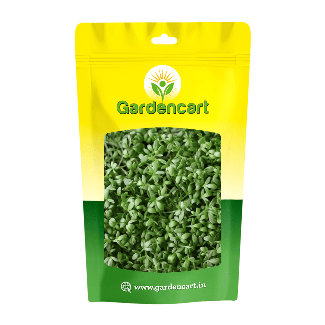 Garden Cress microgreens