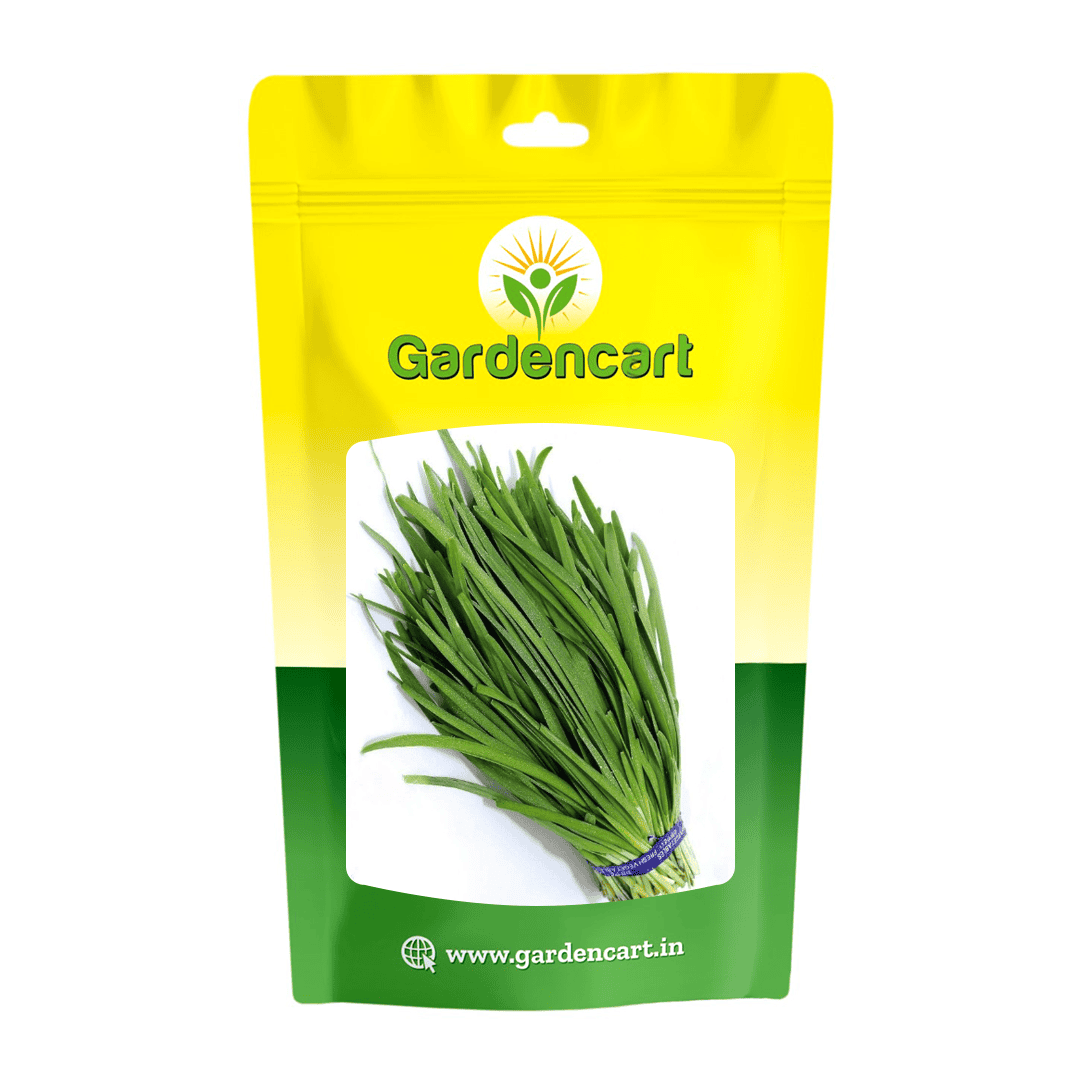 Garlic Chives Seeds