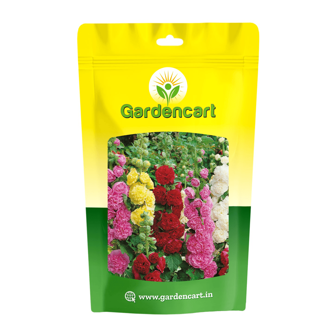 Hollyhock Mix Seeds