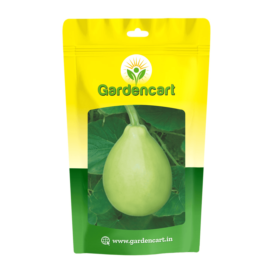 Hybrid Bottlegourd Latoo Seeds