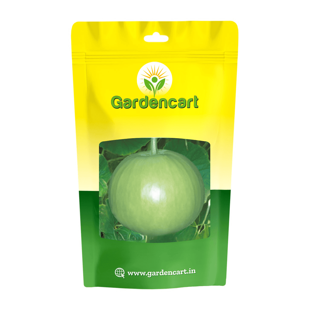 Hybrid Bottlegourd Round Rachna Seeds